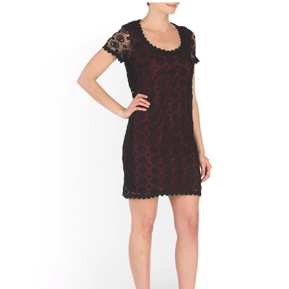 NWT FRENCH CONNECTION USA Hope Lace Dress size 4 - Picture 1 of 12